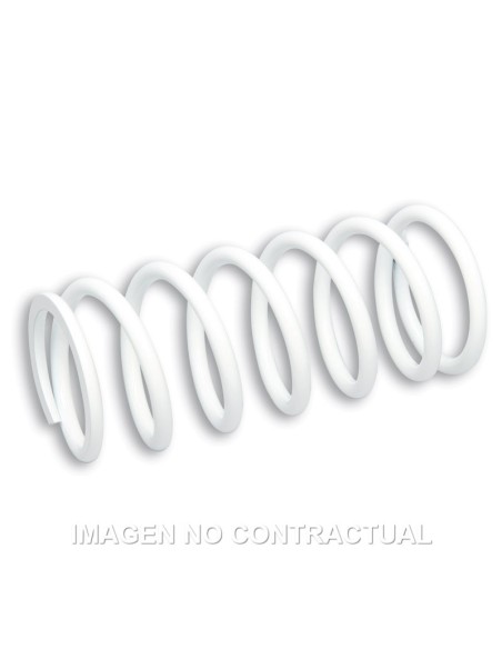 Muelle Reforzado Amortiguador Delantero RS24 Malossi