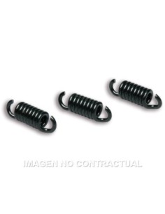 Muelles Embrague Delta Clutch FXR