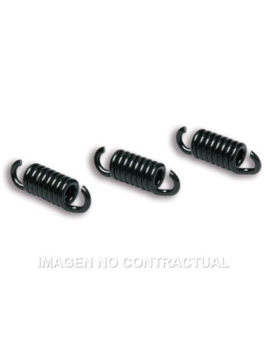 Muelles Embrague Delta Clutch FXR