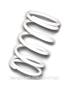 Muelle Polea Conducida Blanco Gilera GP 800