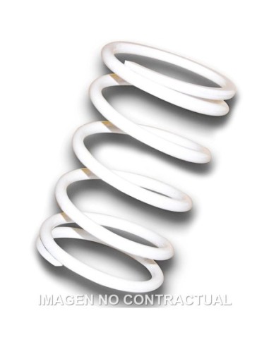 Muelle Polea Conducida Blanco Gilera GP 800