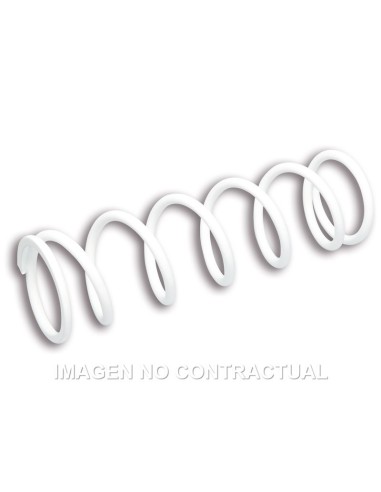 Muelle amortiguador Malossi RS24/10 Piaggio 50