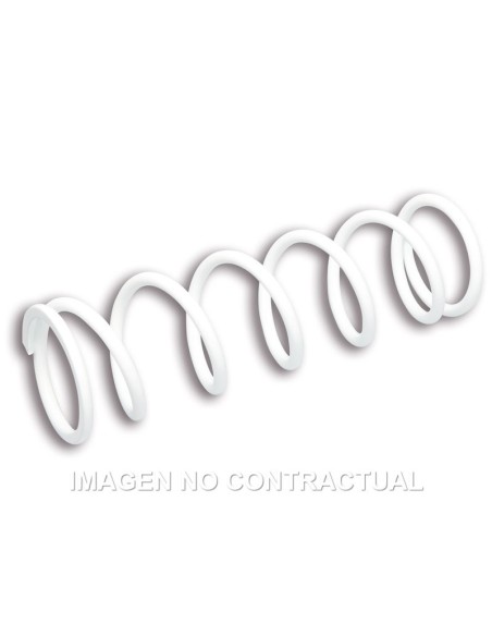 Muelle amortiguador Malossi RS24/10 Piaggio 50