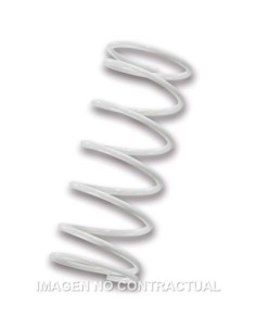 Muelle Polea Conducida Malossi blanco Piaggio