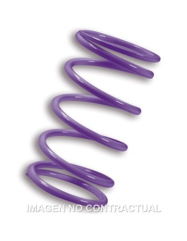 Muelle Polea Conducida Malossi Violeta Kymco AK550