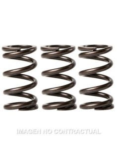 MUELLES MALOSSI VALVULAS MOTOR PIAGGIO LIBERTY 3V