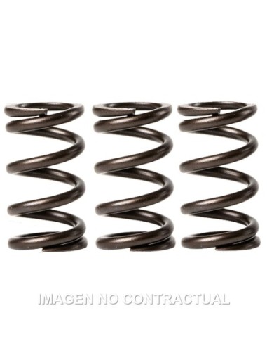 MUELLES MALOSSI VALVULAS MOTOR PIAGGIO LIBERTY 3V