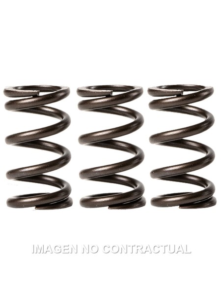 MUELLES MALOSSI VALVULAS MOTOR PIAGGIO LIBERTY 3V