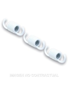 Muelles Embrague Malossi Blancos ( Juego De 3)