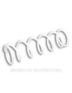 Muelle Reforzado Amortiguador Trasero RS24 Malossi