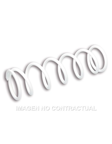 Muelle Reforzado Amortiguador Trasero RS24 Malossi