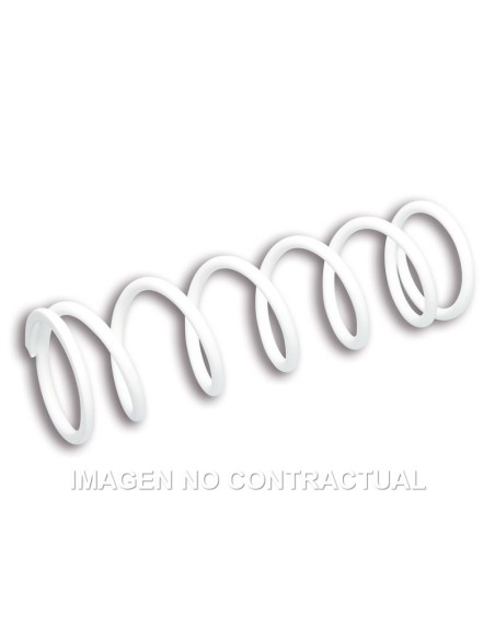 Muelle Reforzado Amortiguador Trasero RS24 Malossi