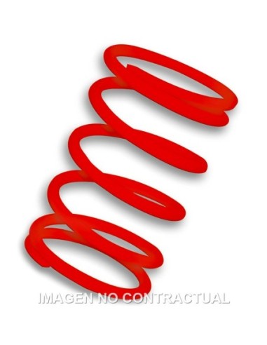 Muelle Polea Conducida Rojo Leonardo 250