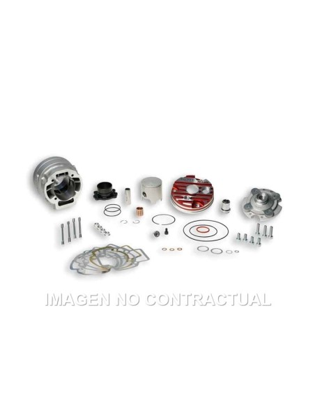 Grupo térmico Malossi D.52 mm. Piaggio 50