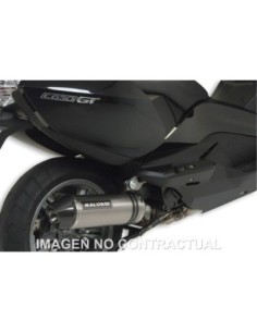 Silencioso Malossi Maxi WIld Lion BMW C 650 GT