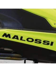 ADHESIVO MALOSSI LEON NEGRO