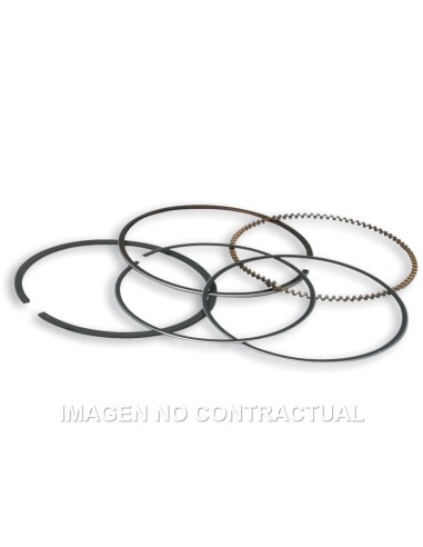 Segmentos Cromados D. 70 X 1 mm ( Cilindro 3111393 )