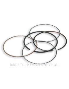 Segmentos D. 75,5 mm