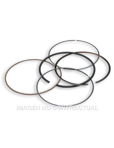 Segmentos D. 75,5 mm