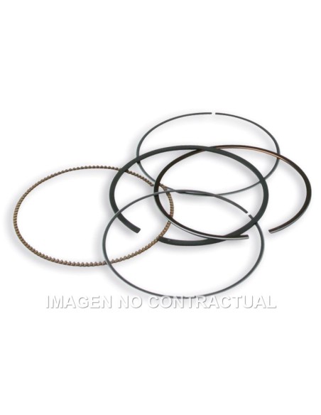 Segmentos D. 75,5 mm