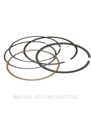 Segmentos D. 74X1 mm Majesty 250, Leonardo 250