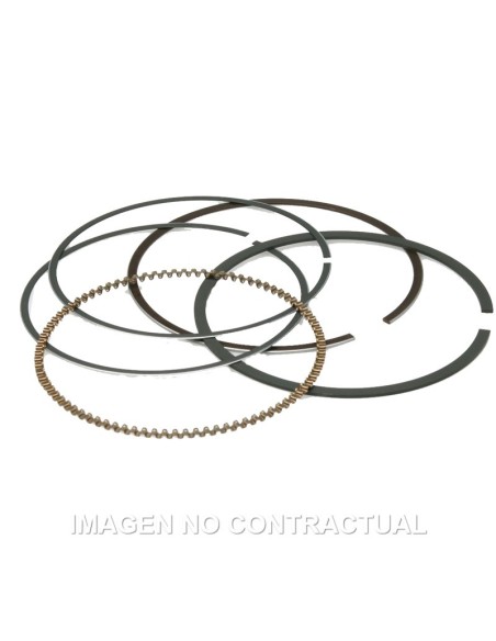 Segmentos D. 74X1 mm Majesty 250, Leonardo 250