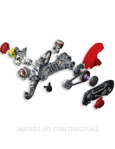 Motor Malossi completo C-One Minarelli