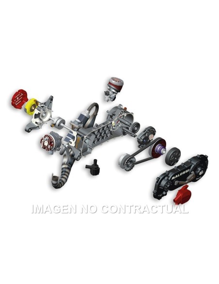 Motor Malossi completo C-One Piaggio ZIP