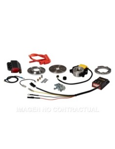 ENCENDIDO ROTOR INTERNO MALOSSI MHR TEAM II PIAGGIO