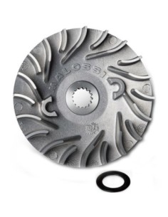 Semipolea Ventilvar Malossi Aerox 100