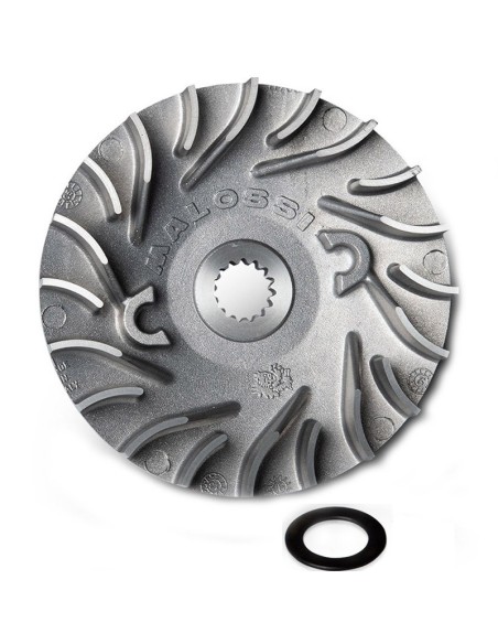 Semipolea Ventilvar Malossi Aerox 100