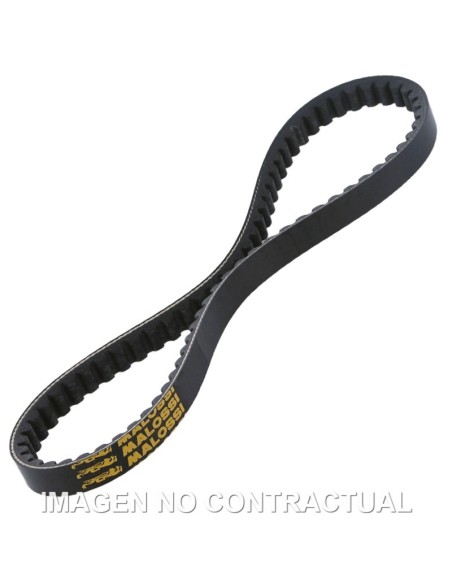 CORREA TRANSMISION MALOSSI HONDA WALLAROO 50