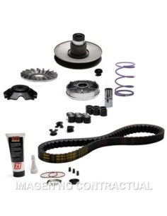 OVER RANGE MALOSSI PIAGGIO ZIP FAST RIDER