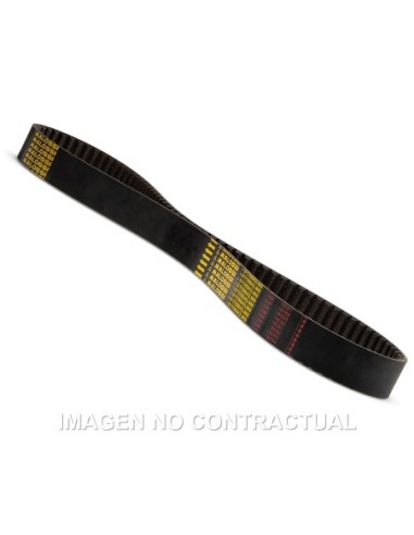 CORREA MALOSSI FINAL POWER TRASMISSION T MAX 560