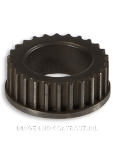 Rueda Correa Bomba Aceite Cigueñal 539703