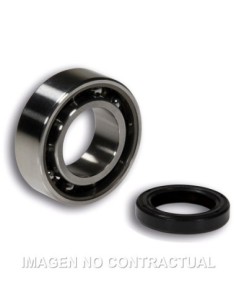 KIT DE COJINETE Y RETEN ACEITE MALOSSI VESPA