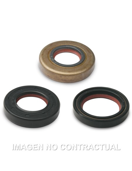 JUEGO RETEN ACEITE FKM/PTFE MALOSSI MINARELLI AM6