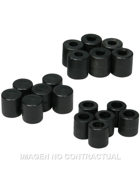 RODILLOS MALOSSI VARIADOR VARPLUS 1,7g/2g/2,3g