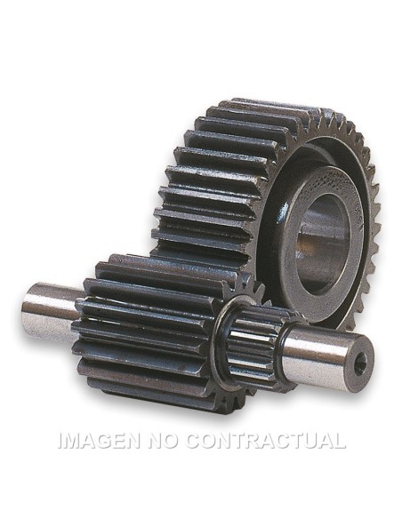 Desarrollo Secundario 14/43 Majesty 125