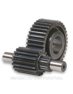 Desarrollo secundario HTQ 15/47 Dientes