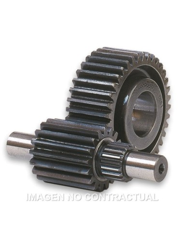 Desarrollo secundario HTQ 15/47 Dientes