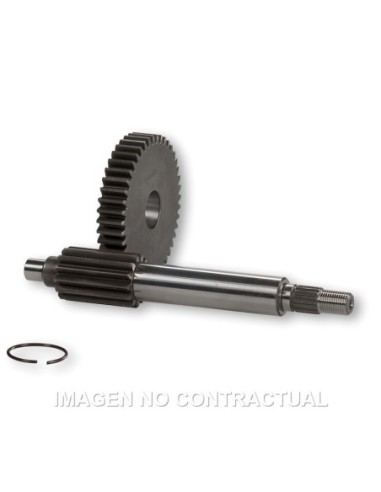 Desarrollo Primario HTQ 15/38 Piaggio NRG MC-3