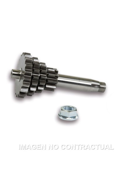 Engranaje c/Cambio Múltiple Vespa Primavera 125