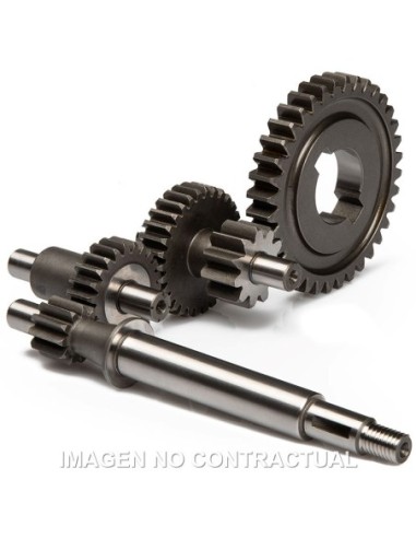 Desarrollos primarios Malossi HTQ Piaggio Ciao 50