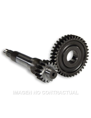 Desarrollo Largo Piaggio Zip SP Zip Fast Rider 95