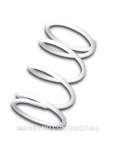 Muelle Polea Conducida Blanco Honda SH 300