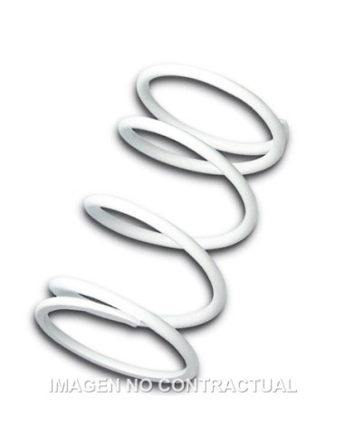 Muelle Polea Conducida Blanco Honda SH 300