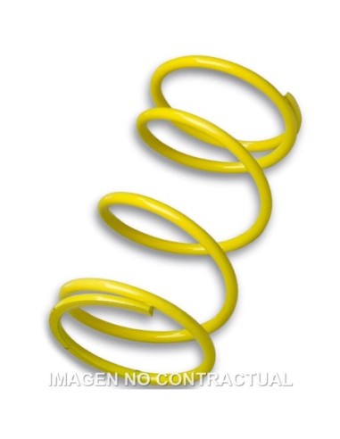 Muelle Polea Conducida