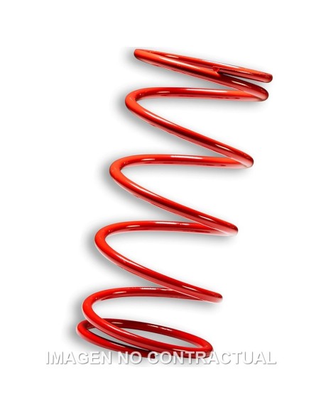 Muelle Polea Conducida Rojo Piaggio 400 / 500