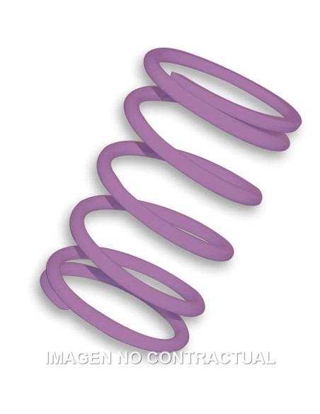 Muelle Polea Conducida Violeta Piaggio Typhoon